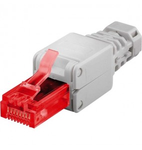 PLUG CAT6 Garanzia 3 anni