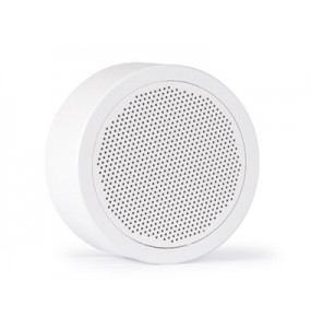 Surface mount ceiling loudspeaker